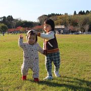 冬には白鳥がくる公園