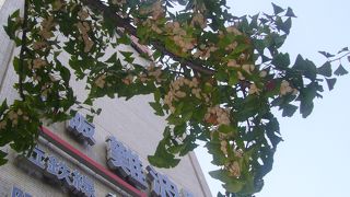 大阪のメインストリート！