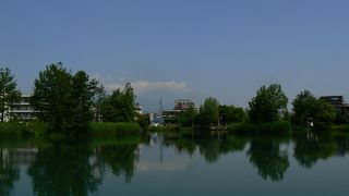 池越しに富士山が見えるはずなのですが