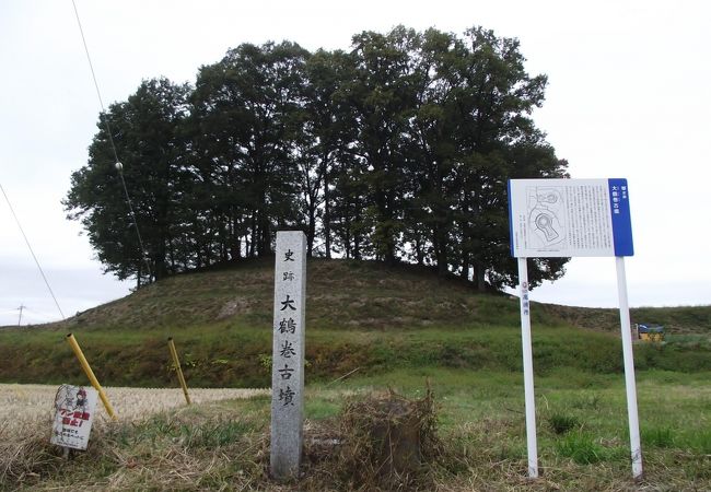 小鶴巻古墳が隣接してあります