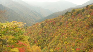 剣山日帰り登山には不可欠。紅葉は、その年の気象状況によります。