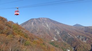 紅葉シーズンは平日でも大行列！