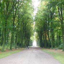 ファルケンルストへの道。