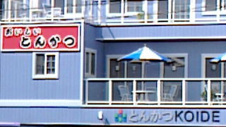 やみつきになっちゃうとんかつ！