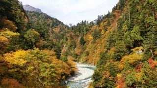 ぜひ終点の欅平までいってみよう☆
