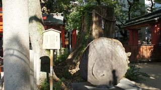 生命力に勇気を与えられる神木です。