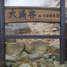 結構きつい坂でした