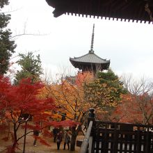 三重塔を背景に