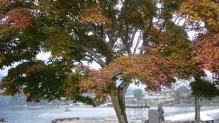 混雑しています