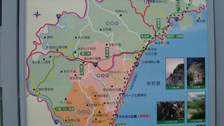 ウミガメや魚を飼育している水槽がある