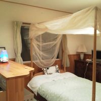 天蓋付きのベッド