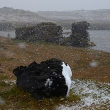 ミーヴァトン湖南東岸の溶岩柱がクラサール。これ以外にも多数有