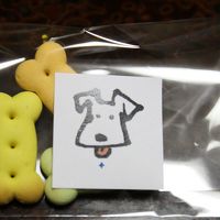 客室ワンコおやつ