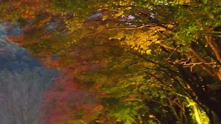 耶馬渓（深耶馬渓）（大分県中津市）一目八景