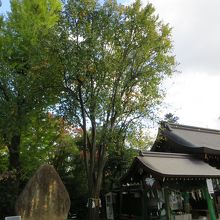 初秋の境内。