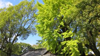 和気清麻呂を祀る神社。足腰の守護神。