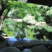 部屋から見たお庭