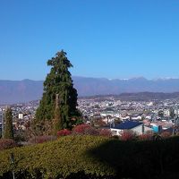 ロビーからの景色です