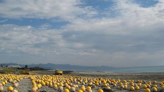 日本で一番長い砂礫海岸