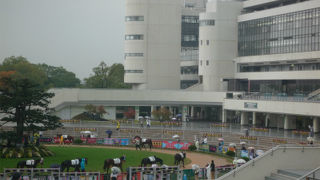 京都競馬場に行ってきた。ついでに淀城跡も！。