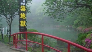 きれいなコバルトブルー