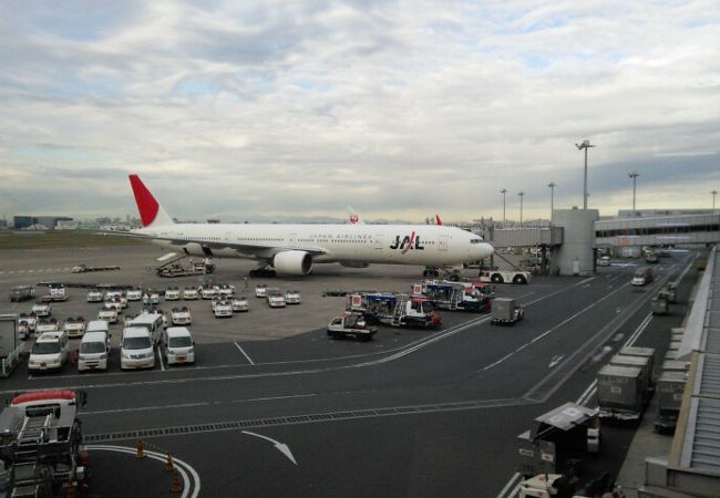 羽田空港ターミナル ビッグバード