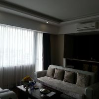 リビングスペース (バーカウンター付)