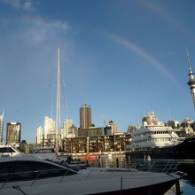 二次をバックにヨットハーバーから見上げるスカイタワー