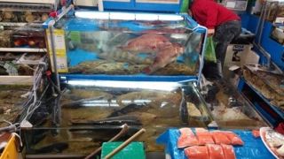 おいしいシーフードを食べたい時は"老齢た水産市場"
