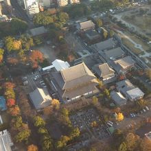 東京タワーから眺めてみました。