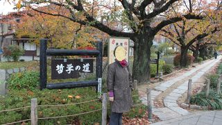 気持ちの良い散策路。