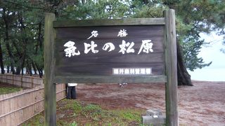 福井　気比松原