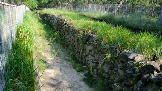 約700年前の元寇の跡