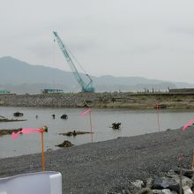 この場所に松林がありました