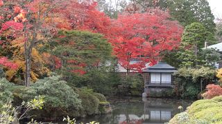 紅葉の穴場かも！