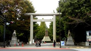 秋には銀杏のライトアップも