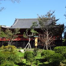 月の松と清水観音堂