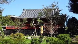 舞台からの眺めはなかなかのものです