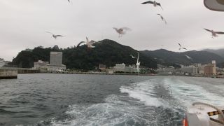 多くのカモメに見送られて。