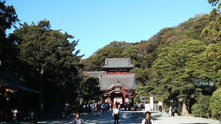 源平の歴史を思い起こさせる他、大石段の上から鎌倉のいい眺めも