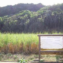 このように看板があります。