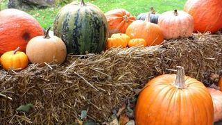 これぞ北海道！な景色を満喫できます