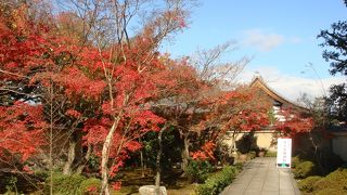 ふだんは拝観謝絶、定期拝観のチャンスをご利用ください（大徳寺・芳春院）