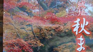 新そばを味わう！高遠城址の秋まつり