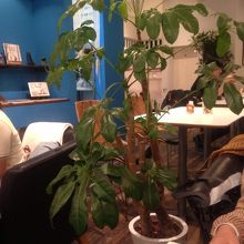 かわいい店内でくつろげる。