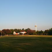 飛行機好きには！