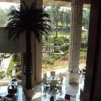 開放的で気持ちの良いレストラン