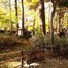 小田野家のお庭