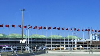 wifi期待できない