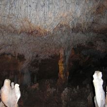 中は幻想的な雰囲気です